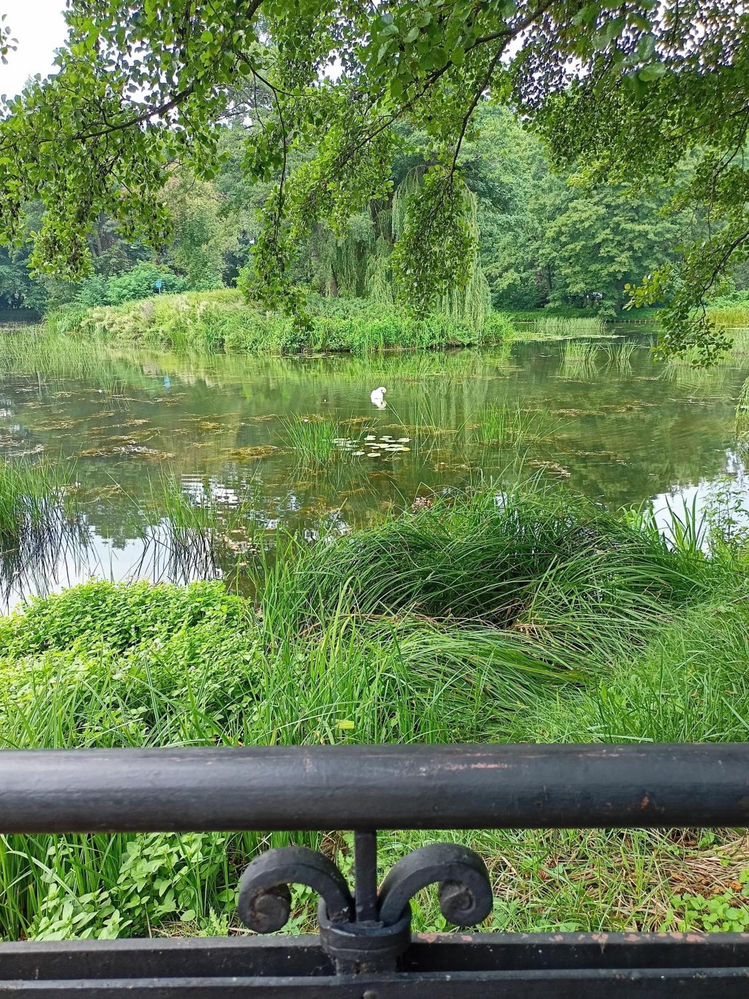 Апартаменты ,,Zielona Przystan Nad Morzem" Gdansk - Przymorze Экстерьер фото